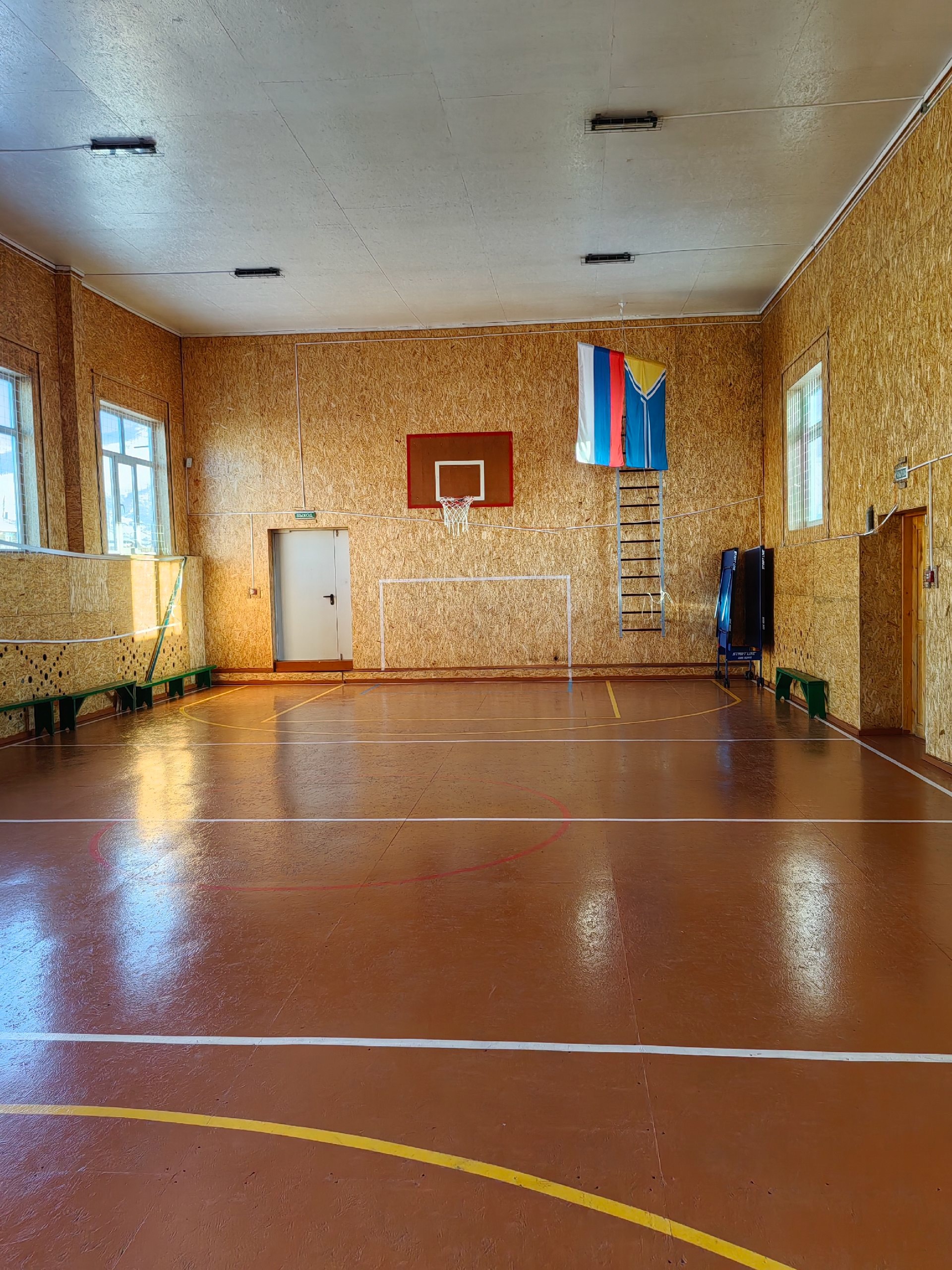 Изображение спорт и физкультура в школе.